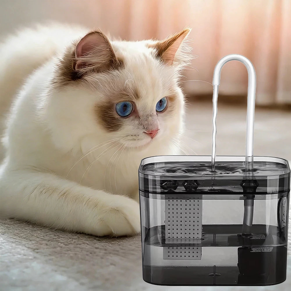 1.5L Pet Water Fountain for Cats Dogs Transparent Black  Anti-Dry Burning Electric  Circulating Water Dispenser with  Filter