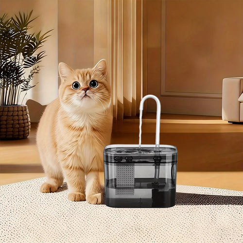 1.5L Pet Water Fountain for Cats Dogs Transparent Black  Anti-Dry Burning Electric  Circulating Water Dispenser with  Filter