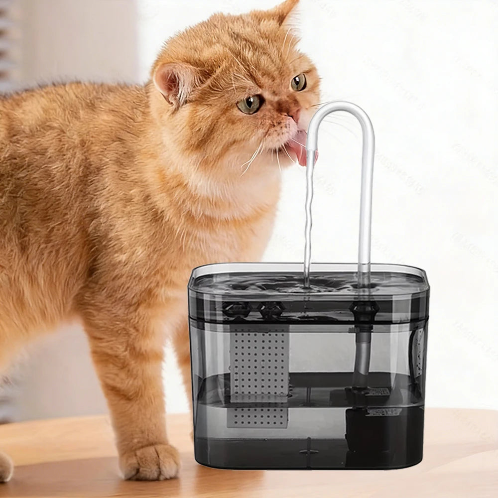 1.5L Pet Water Fountain for Cats Dogs Transparent Black  Anti-Dry Burning Electric  Circulating Water Dispenser with  Filter